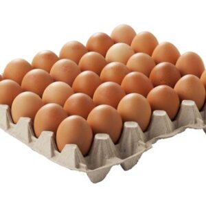 Scharreleieren biologisch 90 st. (B)